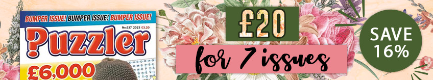 Puzzler. £20 for 7 issues- save 16%